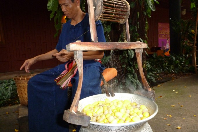 A seda sendo extraída do Bicho da seda. Silk right from the silkworm.