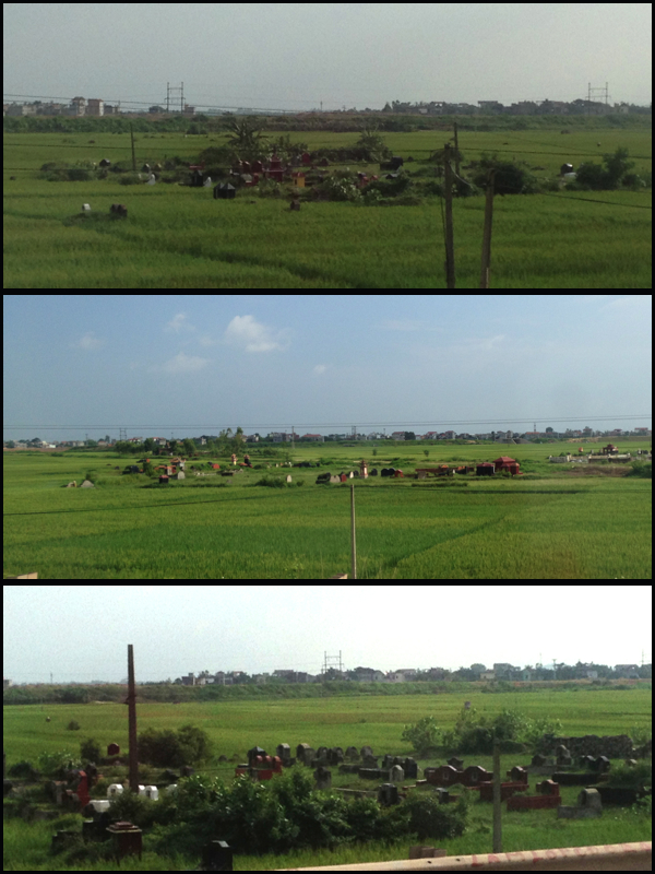 E o mais impressionante pra mim: Cemitérios no meio das plantações de arroz!!! Vários!!! And the most impressive for me: Cemeteries in the middle of the planting rice!! Plenty!!
