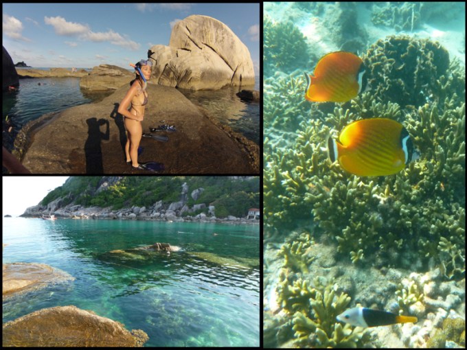 Hora de mergulhar com snorkel. Snorkelling time.