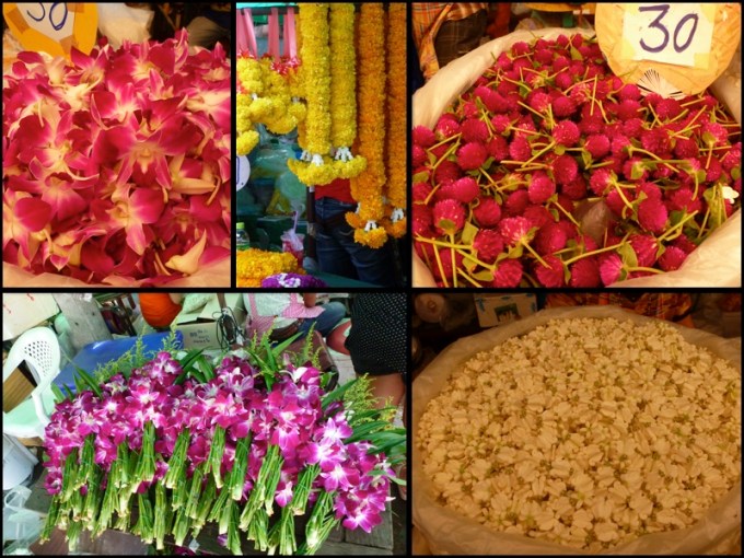 Flores lindas. Beautiful flowers.