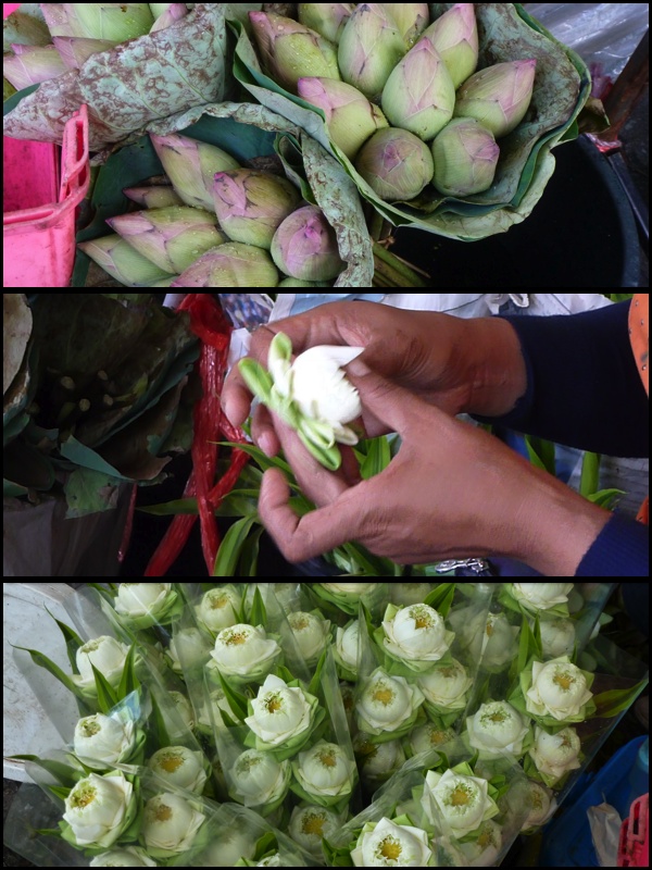 E o que não é flor elas transformam em flor. Assistam o vídeo abaixo: And what is not flower they make become a flower. Check the video below: